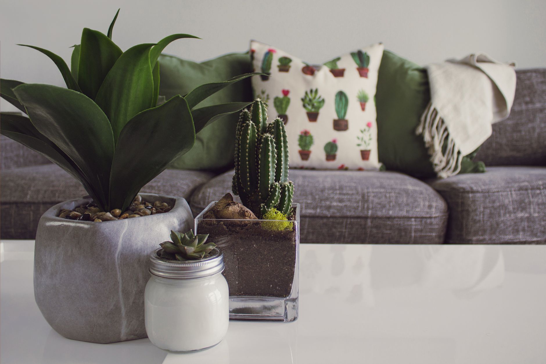 Thoughtful home decor arrangement